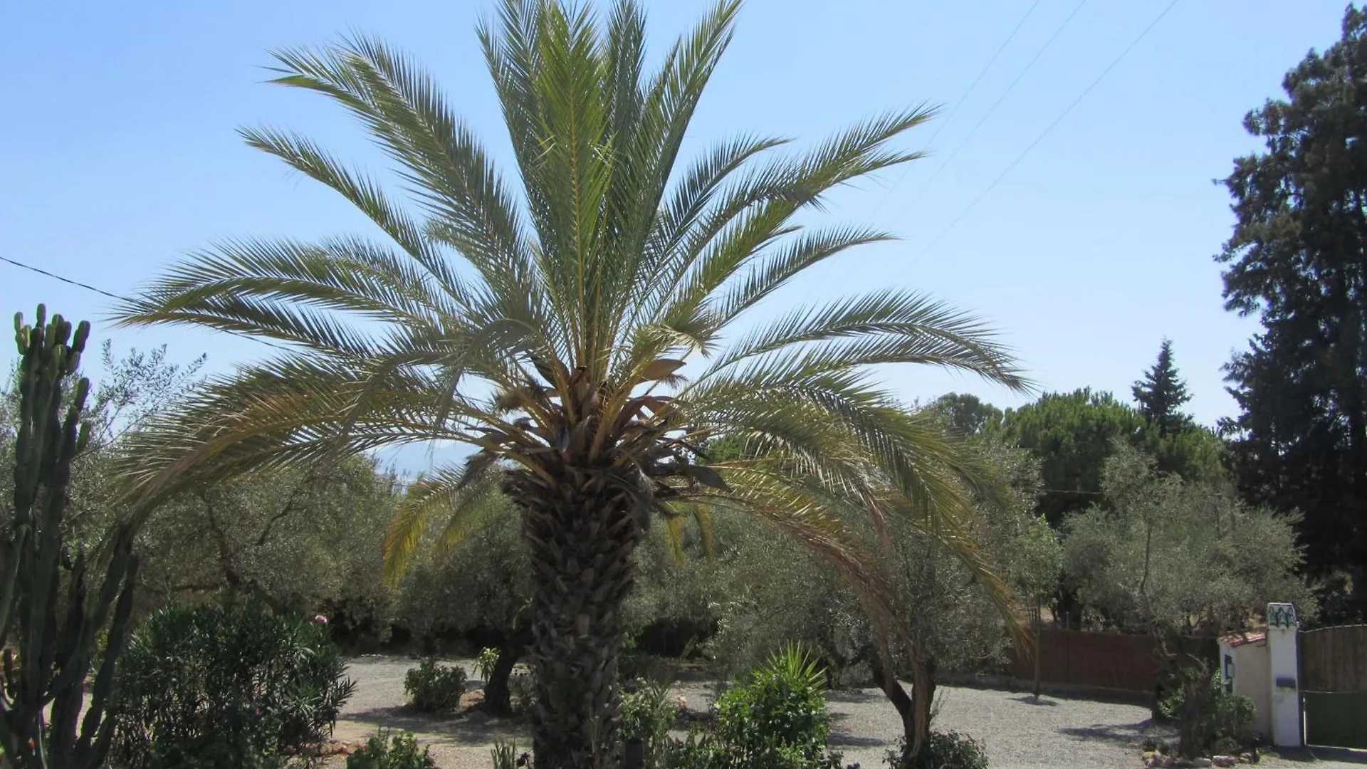 La Casa Palmera - Caminito Del Rey Pizarra